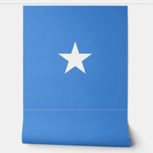 Papel Pintado Bandera de Somalia