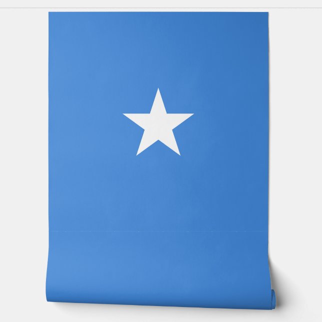Papel Pintado Bandera de Somalia (Desenrollar)