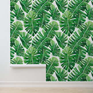 Papel Pintado Bosque de hojas tropicales de la selva de Monstera