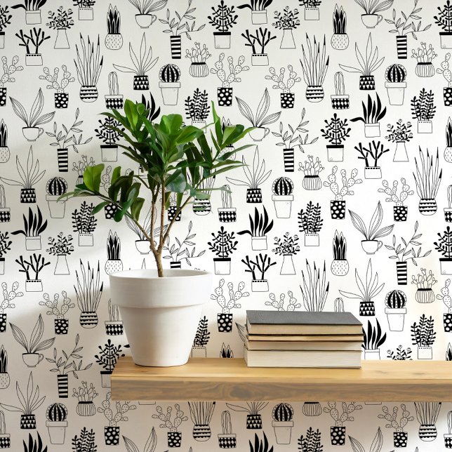 Papel Pintado Cactus Succulum Black and White Art (Cactus cacti succulent house plant black and white art wallpaper)