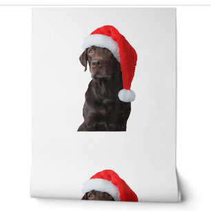 Papel Pintado Chocolate Lab Retrato de perro Santa Hat Cute Chri
