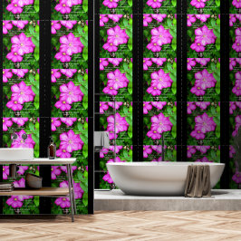 Papel Pintado Clematis con romanos 5:3-5