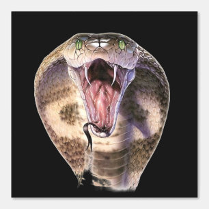 Papel Pintado Color Personalizado Rey Cobra Negro