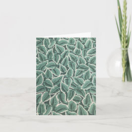 Papel pintado de la casa de Jane Austen