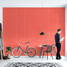 Decoración moderna de hogar y oficina en rosa cora