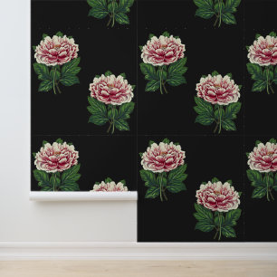 Papel Pintado Elegante guapa rosa de época sobre negro