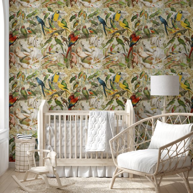 Papel Pintado Elegantes loros de aves tropicales de época (Niños)
