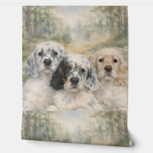 Papel Pintado English Setter (Desenrollar)