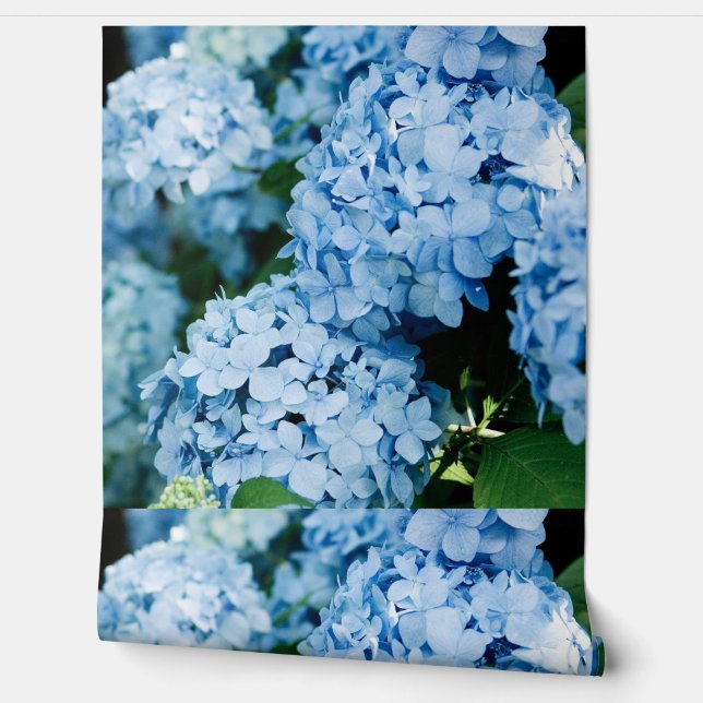 Papel Pintado Flor (Desenrollar)