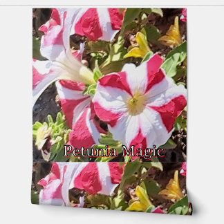 Papel pintado floral de petunia roja y blanca – El