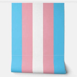 Papel Pintado Fondo de escritorio de la bandera transgénero