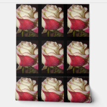 Fondo de escritorio Rosa