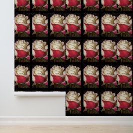 Papel Pintado Fondo de escritorio Rosa