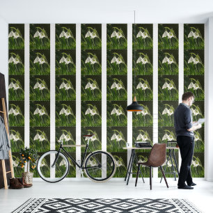 Papel Pintado Fondo de escritorio Sunlit Snacks
