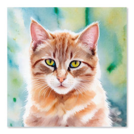 Papel Pintado Gato de Naranja cutáneo