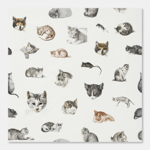 Papel Pintado Gatos Gatitos Gatitos Gatos Dama Chino Toile