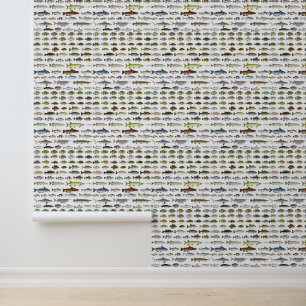 Papel Pintado Grupo de peces de agua dulce de América del Norte