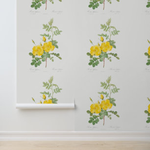 Papel Pintado Hermosa rosa amarillo jardín flor