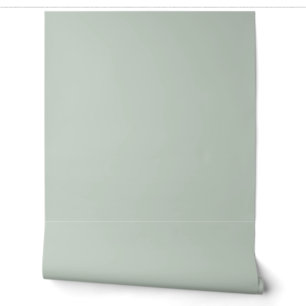 Papel Pintado hermoso color sólido / patrón verde claro