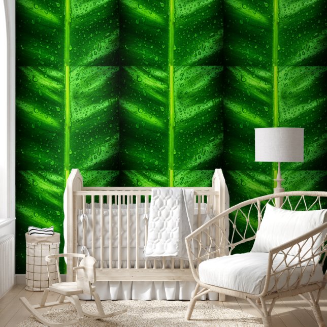 Papel Pintado Hojas con caídas de lluvia (Niños)