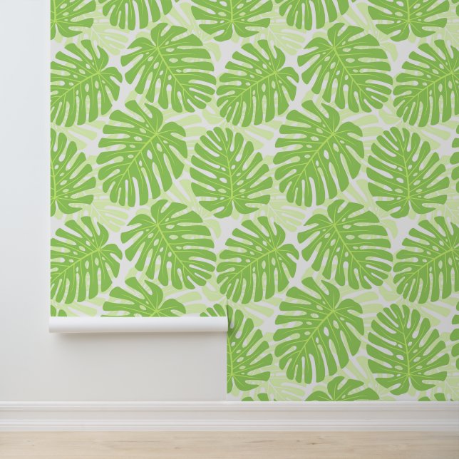 Papel Pintado Hojas De La Planta Tropical - Patrón Monstera (Solicitud)