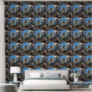Papel Pintado Koala australiana, Quokka, Kangaroo, Wombat