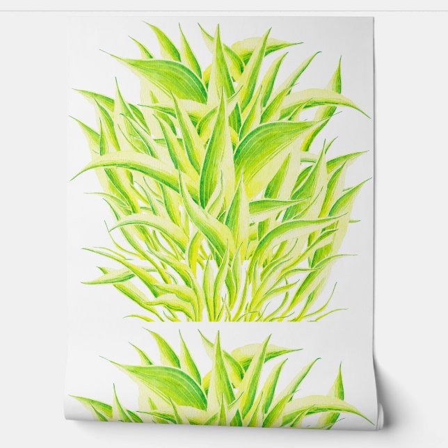Papel Pintado Lirio cebra en un  (Desenrollar)