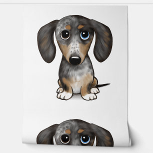 Papel Pintado Merle Dapple Dachshund Cute Wiener Dog