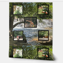 Naturaleza y mundo animal,