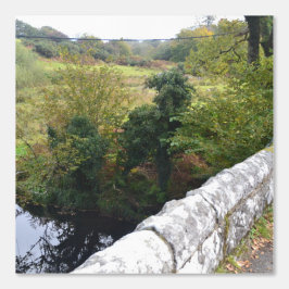 Papel Pintado nature way of impersonating animals