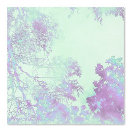 Papel Pintado Niebla de hoja ancha de lavanda