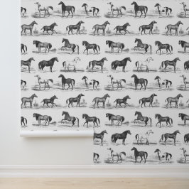 Papel Pintado Patrón de razas de caballos vintage elegante en bl