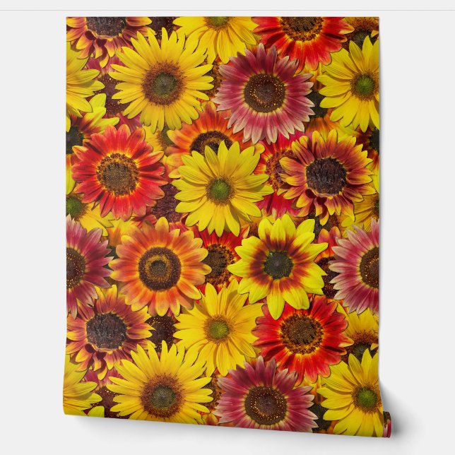 Papel Pintado Patrón sin foco de los girasoles (Desenrollar)