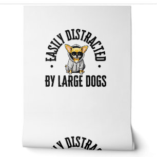 Papel Pintado Perro chihuahua gracioso distrado fácilmente por u