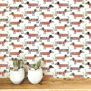 Papel Pintado Perro salchicha Dachshund