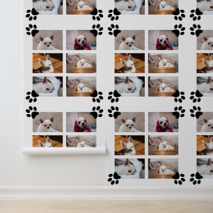 Papel Pintado Personalizado de fotos de tu perro mascota chihuah
