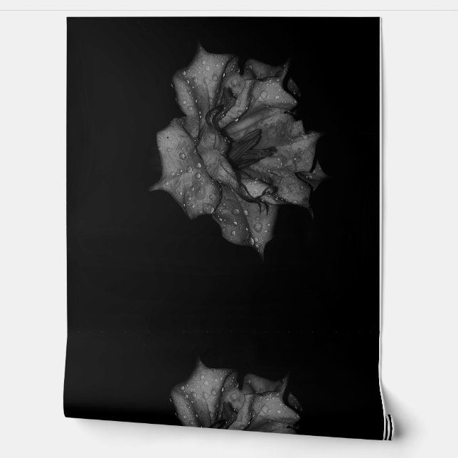 Papel Pintado Pétalos recién besados en la oscuridad (Desenrollar)