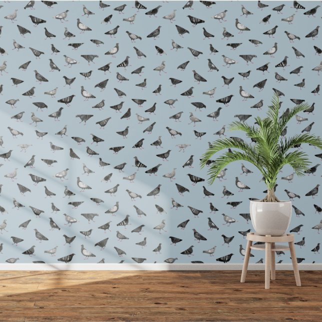 Papel Pintado Pigeon Bird (Fun pigeon bird wallpaper)