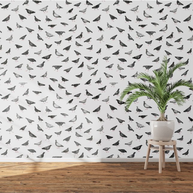 Papel Pintado Pigeon Bird (Fun pigeon bird wallpaper)