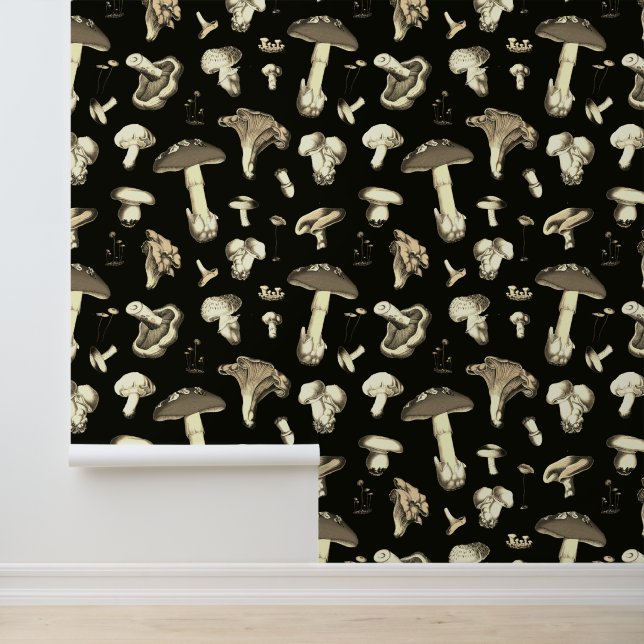 Papel Pintado Playas de setas ventilares Beige Fondo Oscuro (Solicitud)