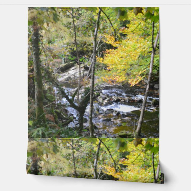 Papel Pintado río (Desenrollar)