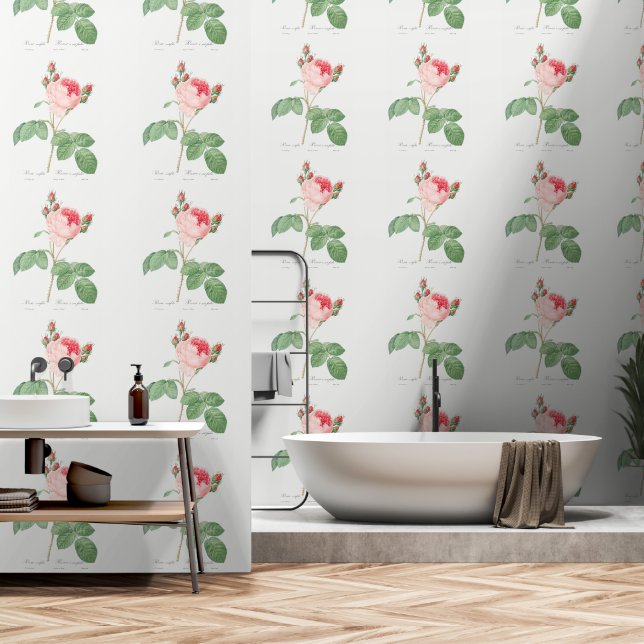 Papel Pintado Rosas Jardín Botánico de Flor Rosa Clara (Baño)