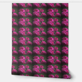 Papel Pintado Rosas rosadas con rocío
