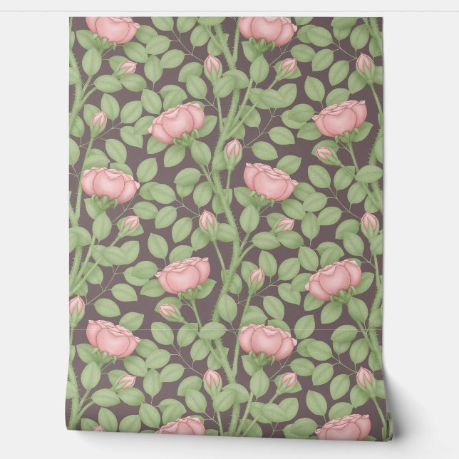 Papel Pintado Rosas rosadas sobre ciruela oscura (Desenrollar)