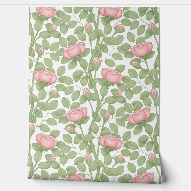 Papel Pintado Rosas rosas rosas blancas (Desenrollar)