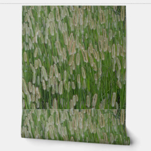 Papel Pintado Semillas de gramíneas verdes altas