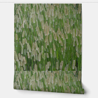 Papel Pintado Semillas de gramíneas verdes altas