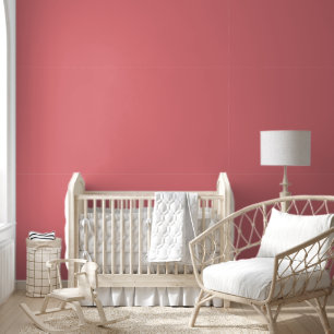 Papel Pintado Sencillo Minimalista Elegante Llano Coral Chic