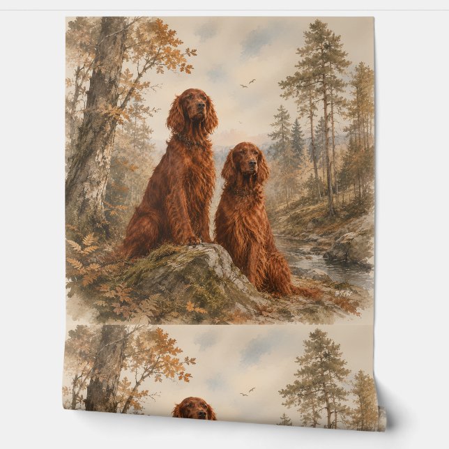 Papel Pintado Setter Irlandés   (Desenrollar)