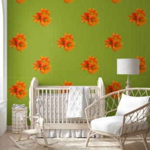 Papel Pintado Solo 3 flores de margarita de Gerbera